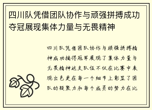 四川队凭借团队协作与顽强拼搏成功夺冠展现集体力量与无畏精神