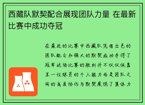 西藏队默契配合展现团队力量 在最新比赛中成功夺冠